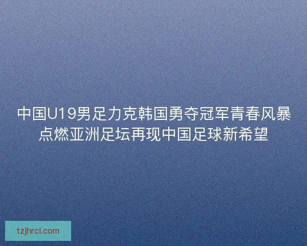 中国U19男足力克韩国勇夺冠军青春风暴点燃亚洲足坛再现中国足球新希望
